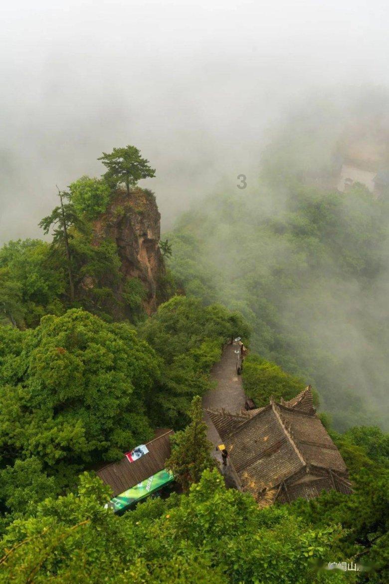 逃出猫头鹰岛